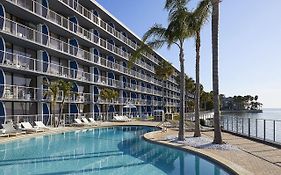 Bay Harbor Hotel Tampa Fl